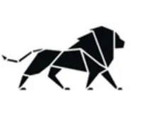 BRAVER IT SPÓŁKA AKCYJNA logo