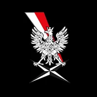 Agencja Wywiadu logo