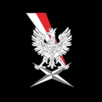 Agencja Wywiadu logo